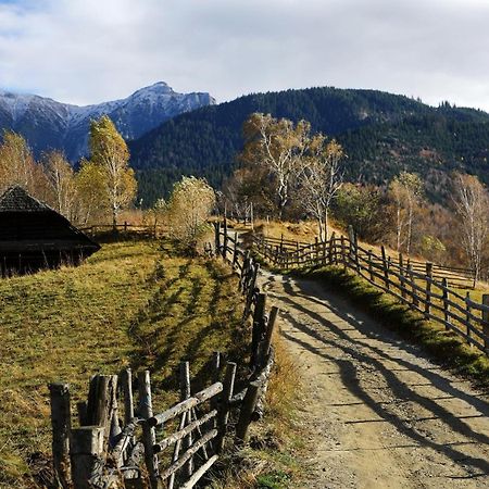 Pensiunea Montan Din Bran,Sat Simon Spa Indoor Bran (Brasov) Exterior foto