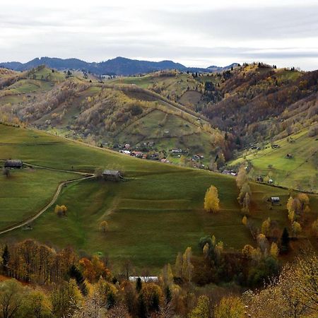 Pensiunea Montan Din Bran,Sat Simon Spa Indoor Bran (Brasov) Exterior foto