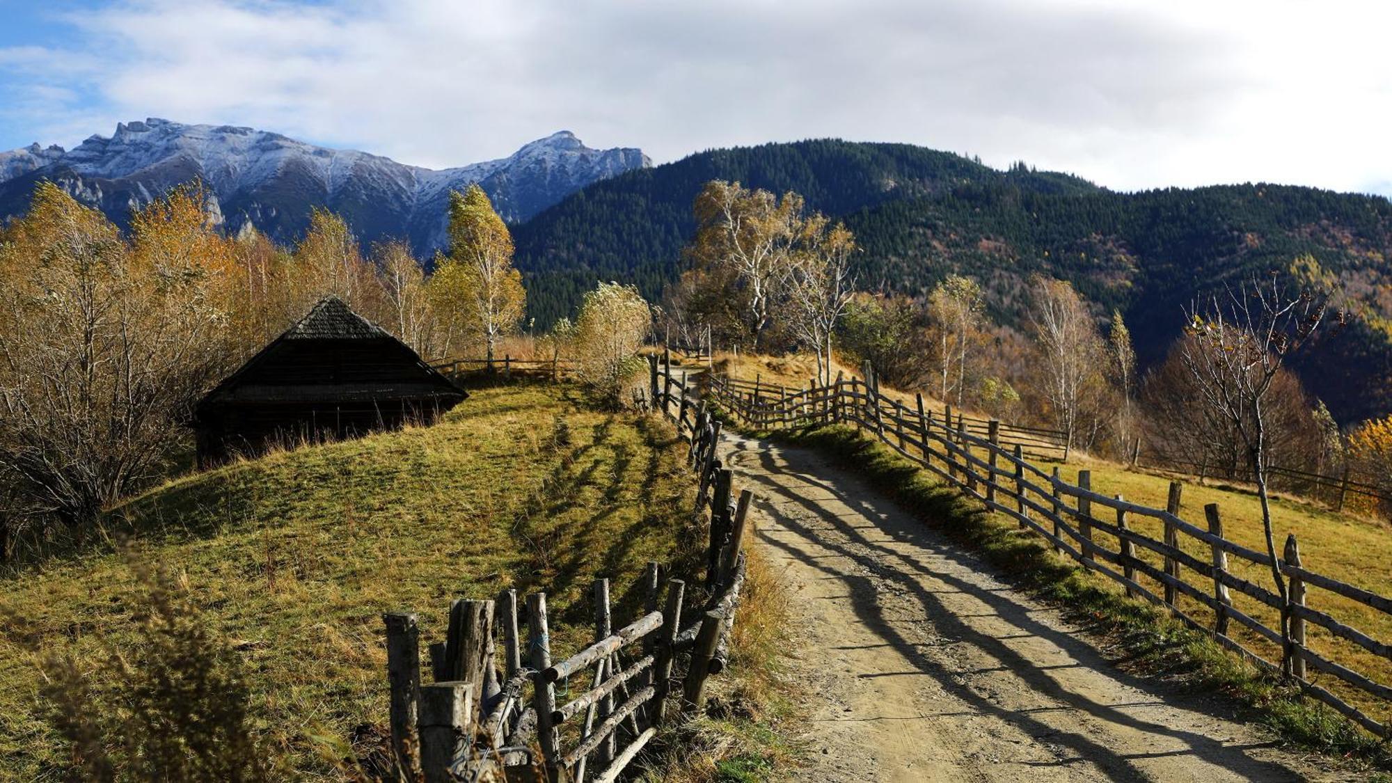 Pensiunea Montan Din Bran,Sat Simon Spa Indoor Bran (Brasov) Exterior foto